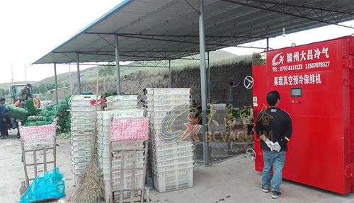 蔬菜真空预冷机江西南昌果蔬批发市场安装案例