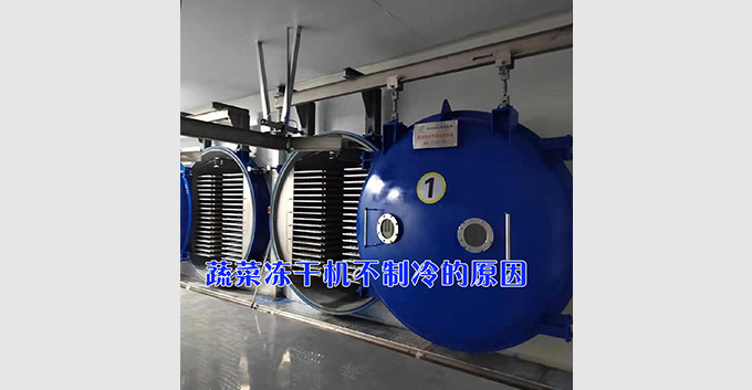 蔬菜冻干机在使用过程的突然不制冷是什么原因「经验分享」