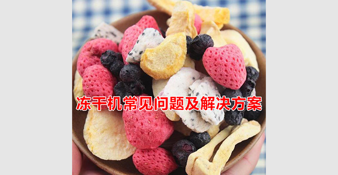 冻干机常见问题及解决方案「经验分享」