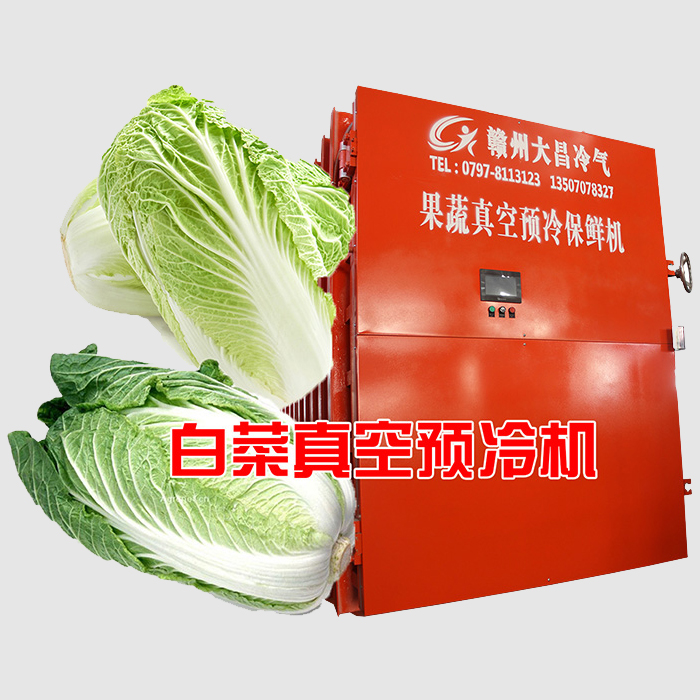 白菜真空预冷机