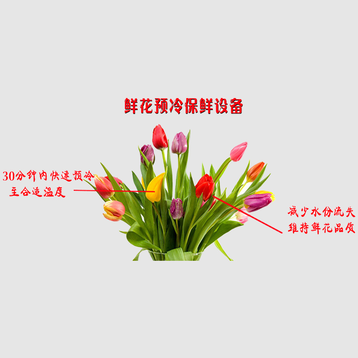 鲜花真空预冷保鲜设备