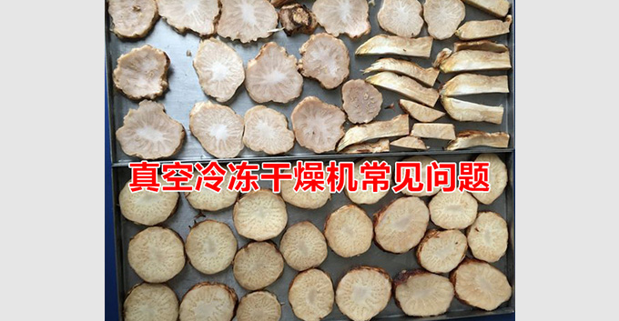 真空冷冻干燥机常见问题及解决方案「亲测有效」