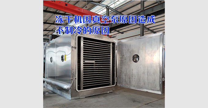 冻干机因为真空泵原因造成的不制冷的原因「处理小技巧供参考」