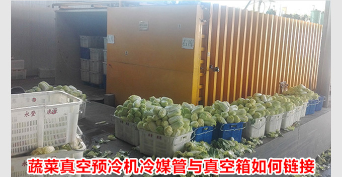 「已解决」蔬菜真空预冷机冷媒管与真空箱如何链接