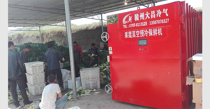 果蔬真空预冷机多少钱一台
