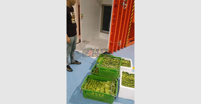 真空预冷机广州某大型蔬菜保鲜基地安装