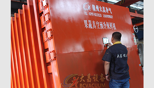 河南黄花菜真空预冷机案例