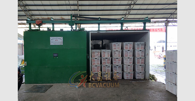 果蔬真空预冷机出货至惠州某大型果蔬批发市场