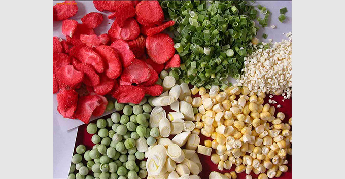 果蔬冻干机的操作要点和注意事项