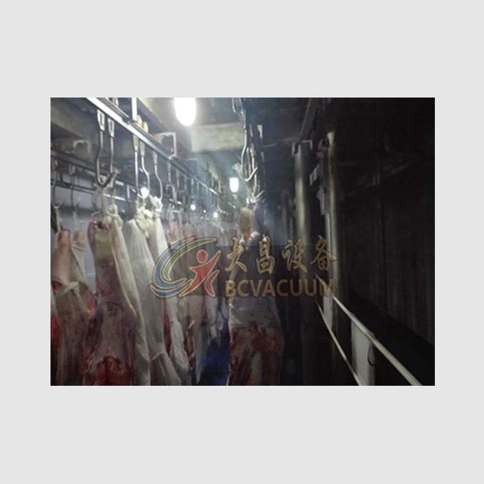 氮气高压静电变频解冻设备