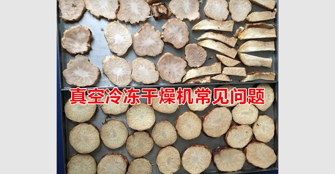 真空冷冻干燥机常见问题及解决方案「小妙招」