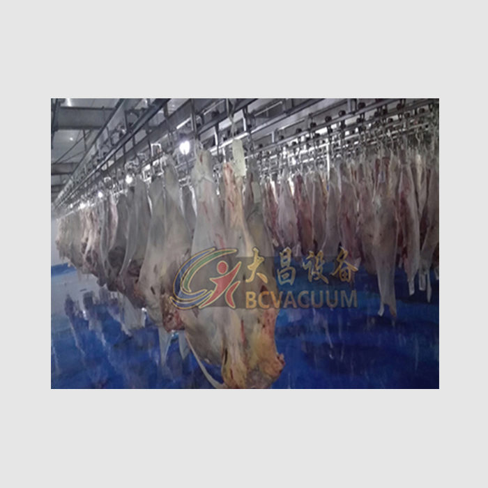 氮气高压静电变频解冻设备