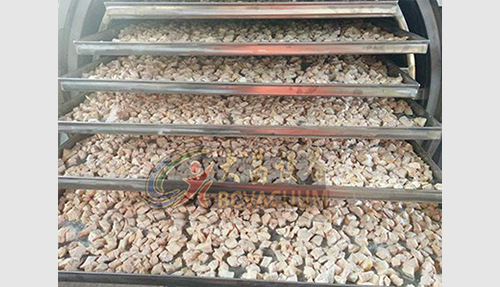 食品冻干机浙江某老总公司安装