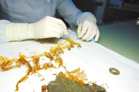 Anoxic Treatment for Museum Objects: A Non-Chemical Pest Control Method