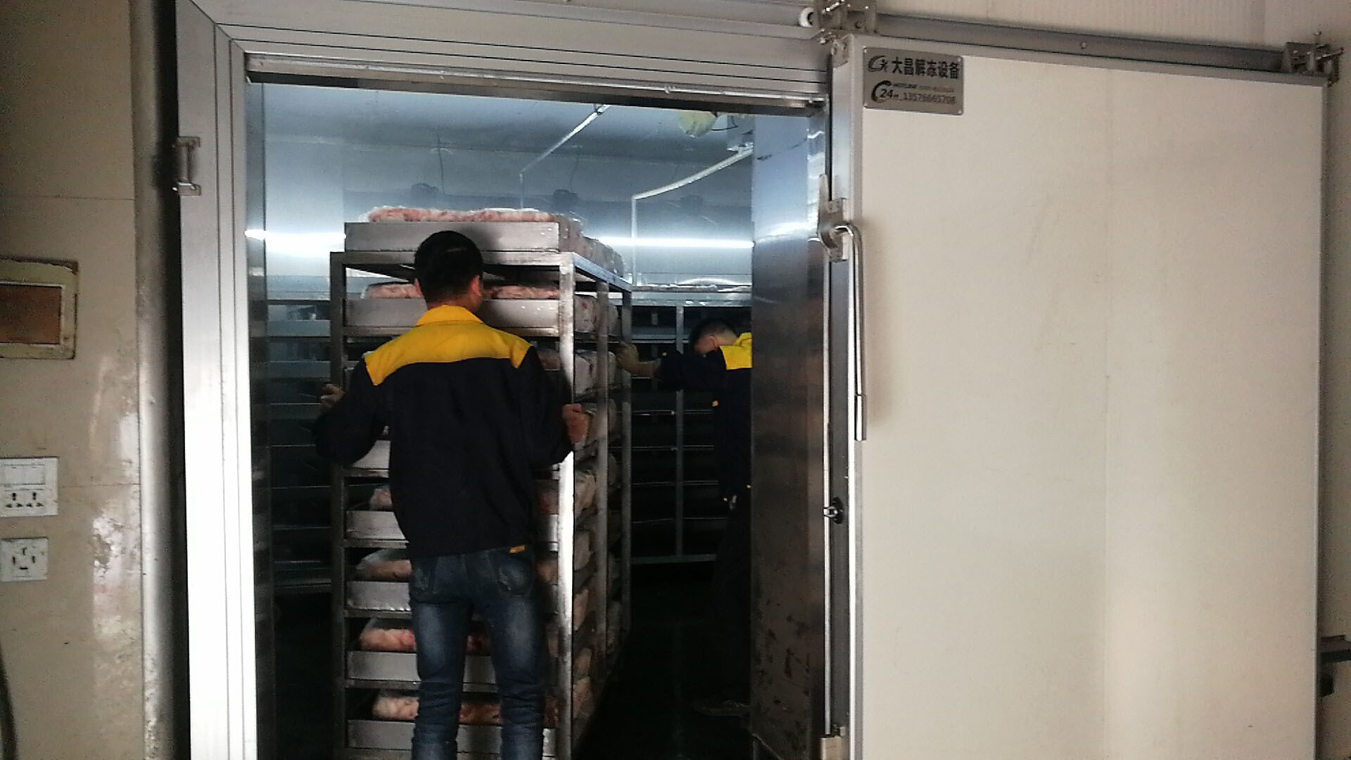 Precision Low-Temperature High-Humidity Thawing Equipment for Meat Processing in Zhejiang