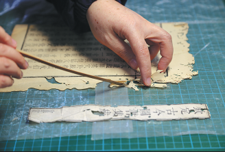 Insect infested historical manuscripts and books