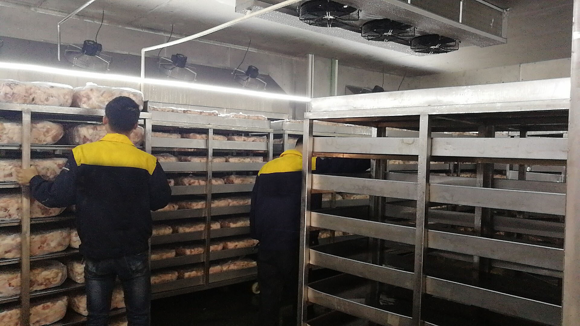 官网用2 官网用2